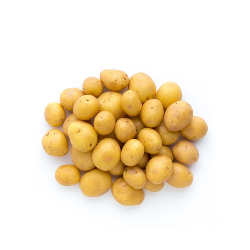 Baby aloo product showcase