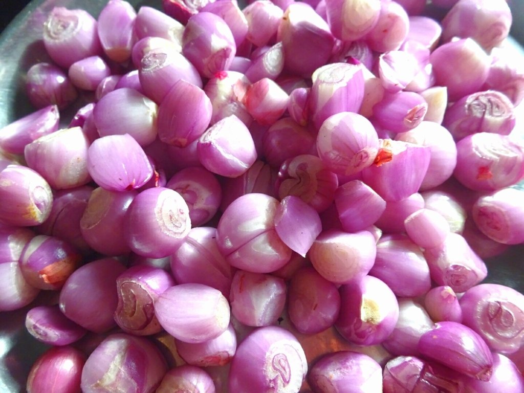 Madras onion product showcase
