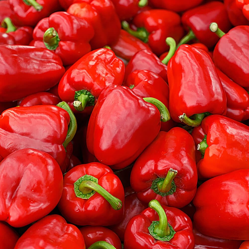 Red Capsicum product showcase